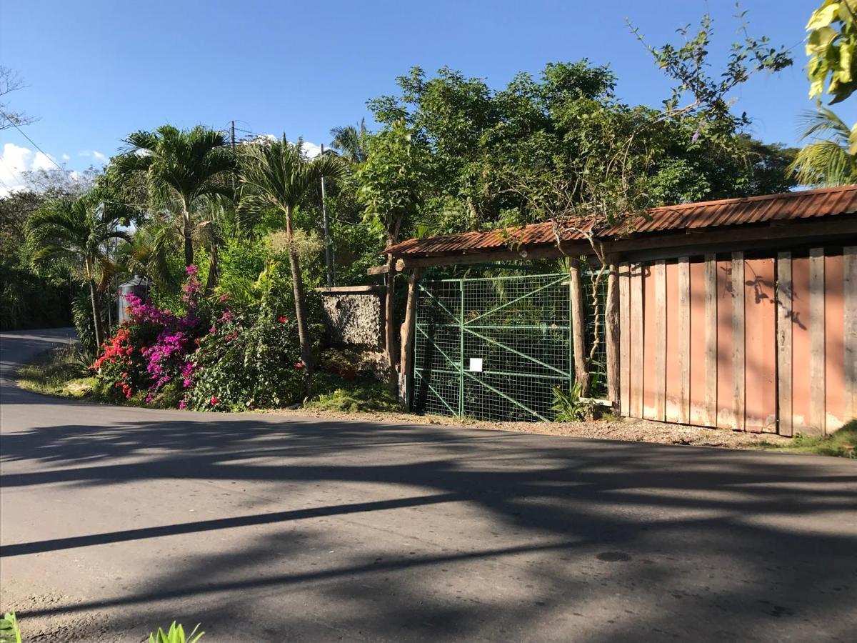 Flor De Paraiso Bungalows Montezuma Bagian luar foto