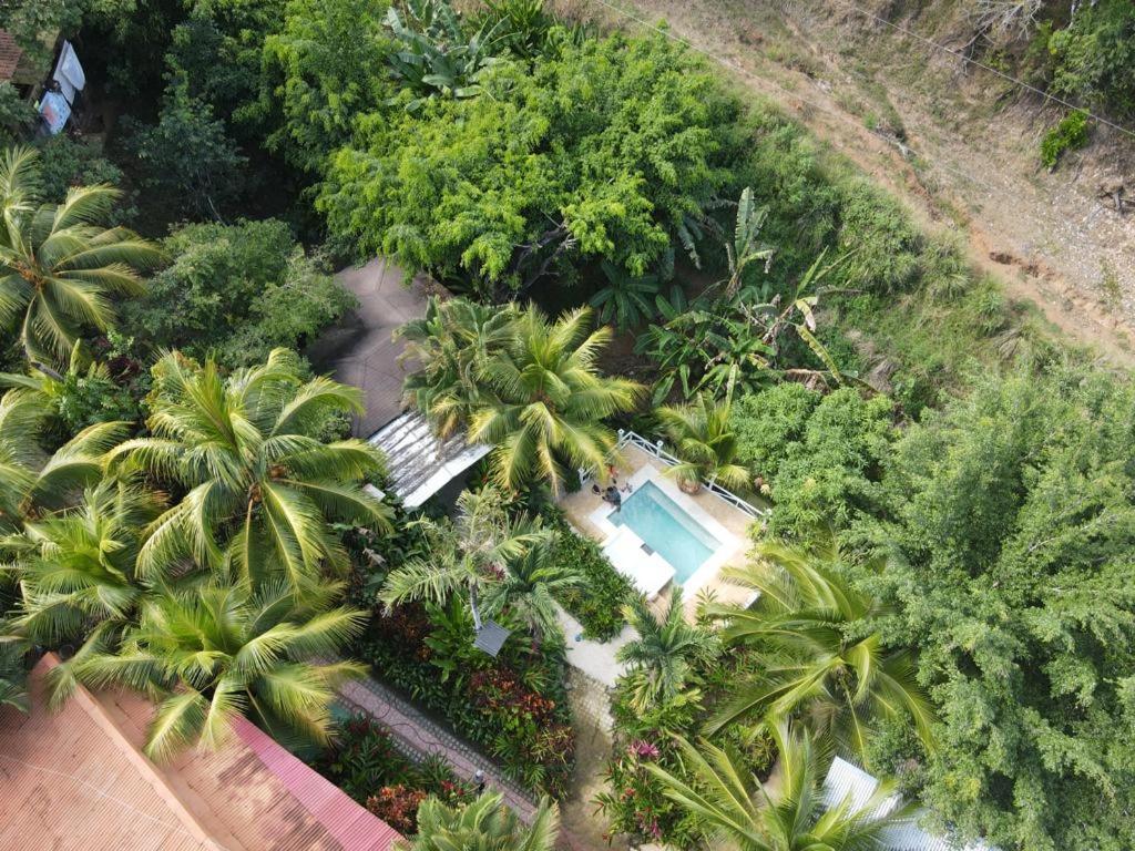 Flor De Paraiso Bungalows Montezuma Bagian luar foto